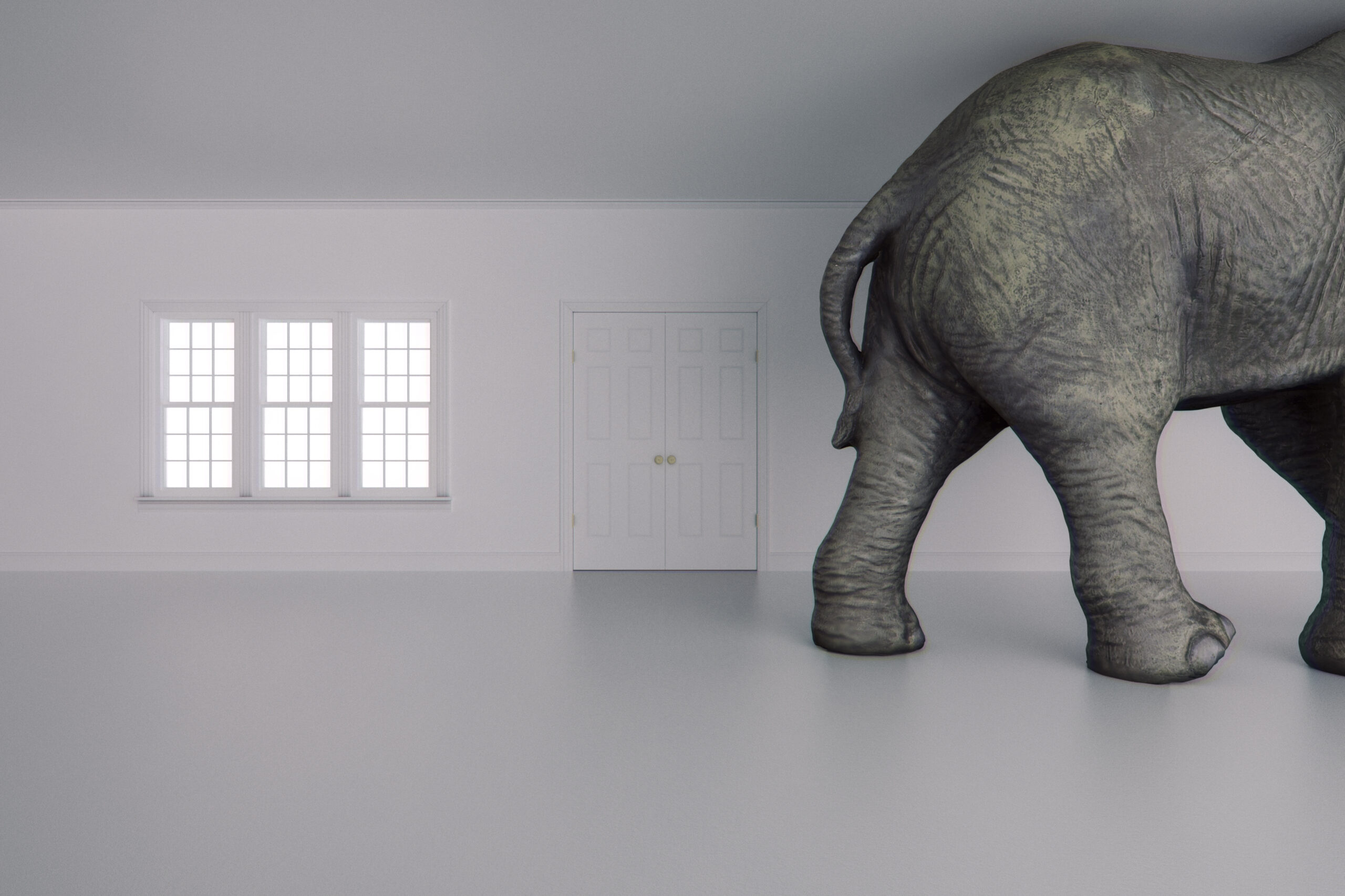 Elephant in a grey room